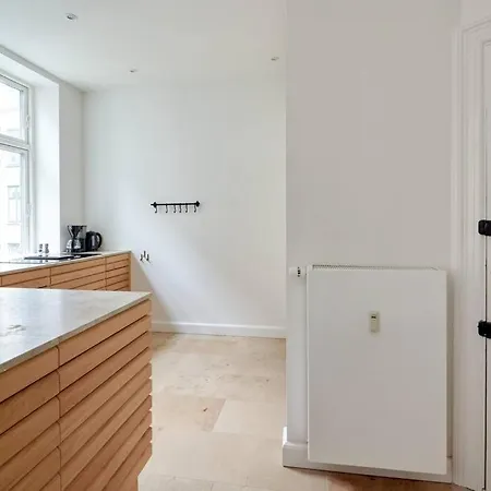 Spacious 3 Bedroom Manor Flat Next To Tivoli * Copenhaga